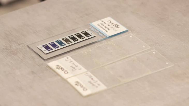 CytoCell solid tumour FFPE FISH protocol - Denaturation and hybridisation (1 minute) Image