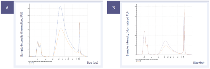 Figure 3: Pre-capture library yields of fcDNA with ‘severe’ damage treated with SureSeq FFPE DNA Repair Mix (blue) and without treatment (orange).