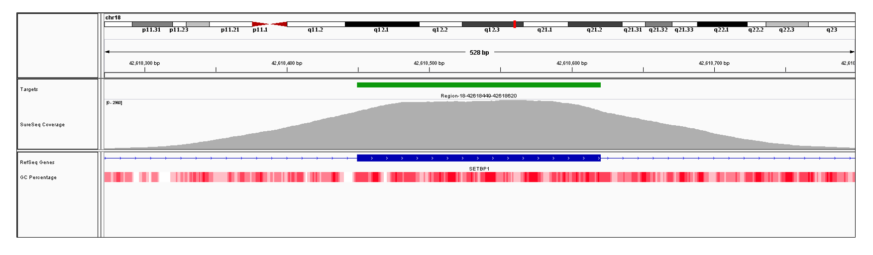 SETBP1 Exon 5 (hg19 chr18:42618450-42618620). Depth of coverage per base (grey). Targeted region (green). Gene coding region as defined by RefSeq (blue). GC percentage (red). Image