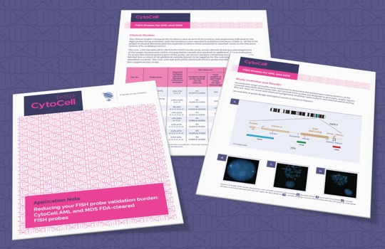 Reducing your FISH probe validation burden Image