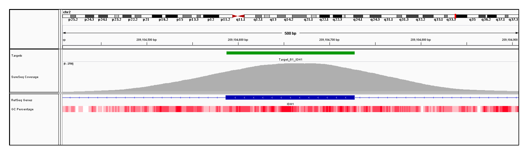 IDH1 Exon 8 (hg19 chr2:209104587-209104727). Depth of coverage per base (grey). Targeted region (green). Gene coding region as defined by RefSeq (blue). GC percentage (red). Image