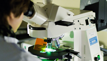 FISH Scientist & Microscope