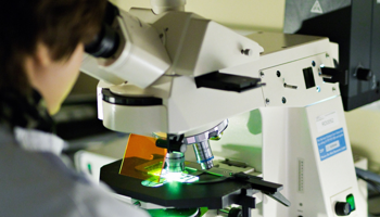 FISH Scientist & Microscope