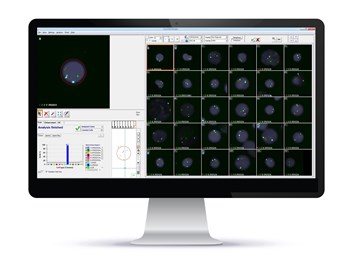 FISH imaging software