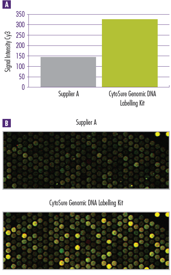 Figure 1: High signal intensity allowing easy and accurate spot detection. Control DNA (Promega) was labelled using the CytoSure Genomic DNA Labelling Kit and another commercially available kit (Supplier A). The DNA labelled using the CytoSure Genomic DNA Labelling Kit exhibited far superior Cy3 signal intensity.