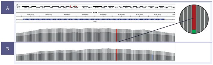 Figure 5: Comparison of the coverage in the region of an EGFR L858R mutation