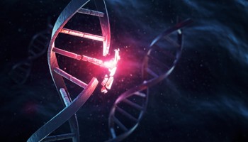 Fragmentation And Destruction Of The Genetic DNA Molecule Helix Listing