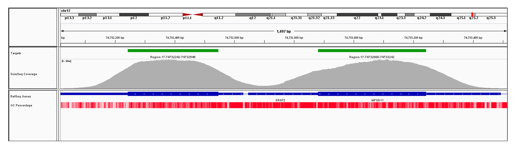 SRSF2 Exons 1 (hg19 chr17:74732881-74733493) and 2 (hg19 chr17:74732236-74732546). Depth of coverage per base (grey). Targeted region (green). Gene coding region as defined by RefSeq (blue). GC percentage (red). Image