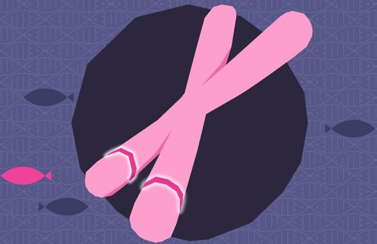 Illuminating genomes across the globe with CytoCell FISH probes Image