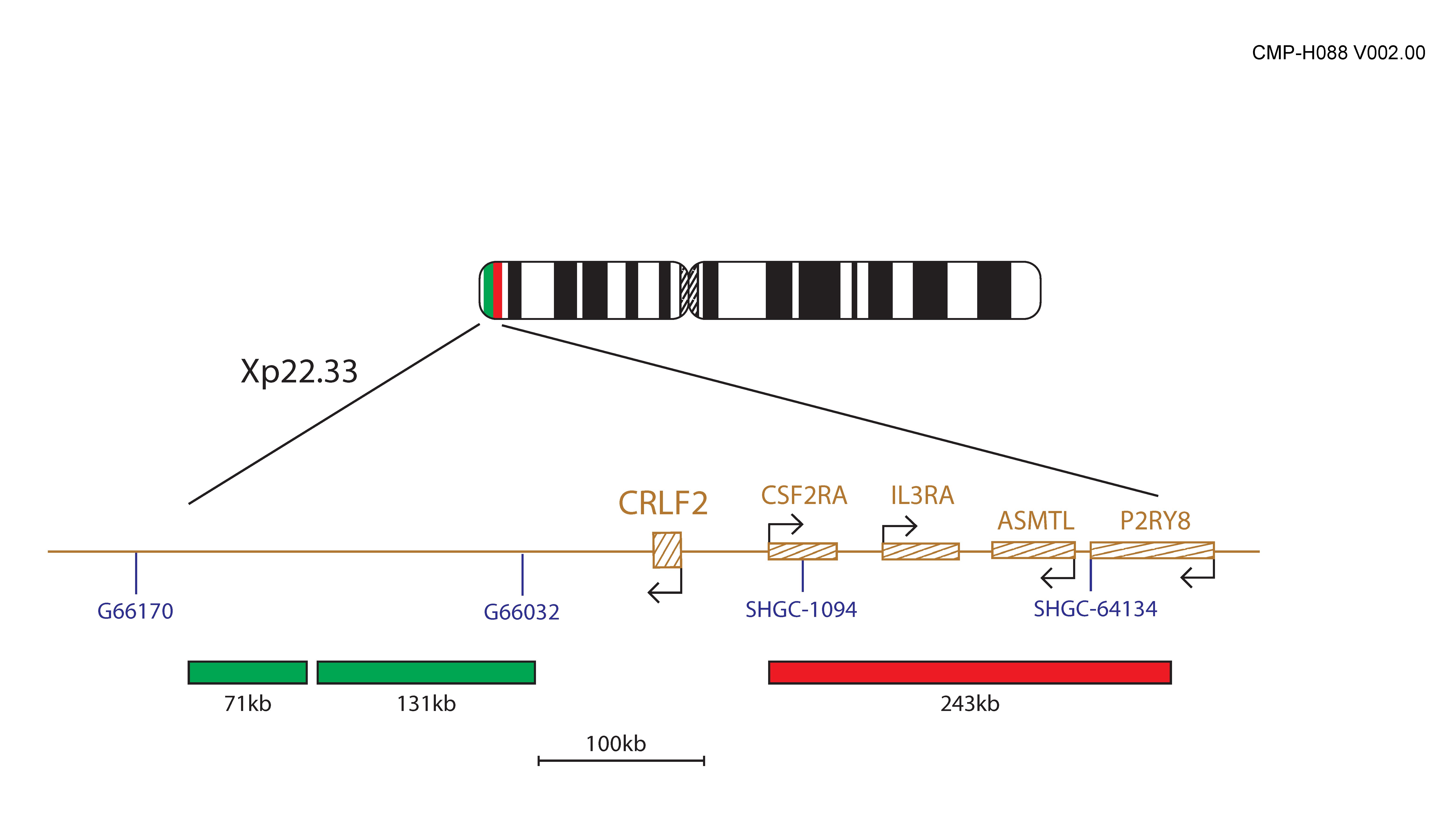 Fluorescence in situ hybridisation (FISH) chromosome map showing probes targeting the CRLF2 gene.