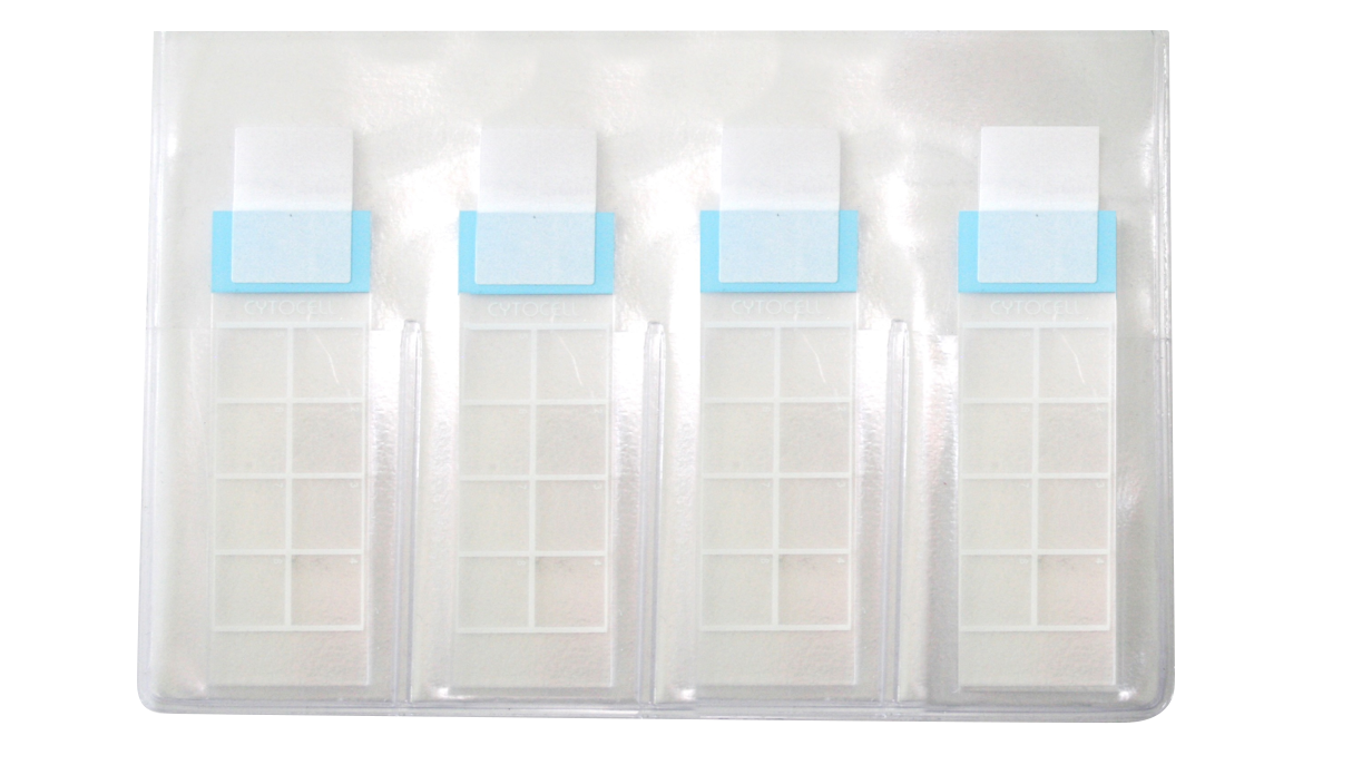 Cytocell 8 Square Template Slides