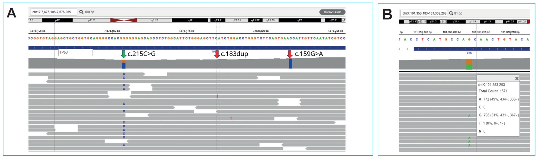 <b>Figure 2:</b> Examples of small pathogenic variants detected by OGT’s SureSeq™ CLL+CNV V3 Panel. <i>BTK</i> resistance variant <b>(A)</b>, multiple <i>TP53</i> variants <b>(B)</b>. Green arrow indicates a benign variant, red arrows- pathogenic.