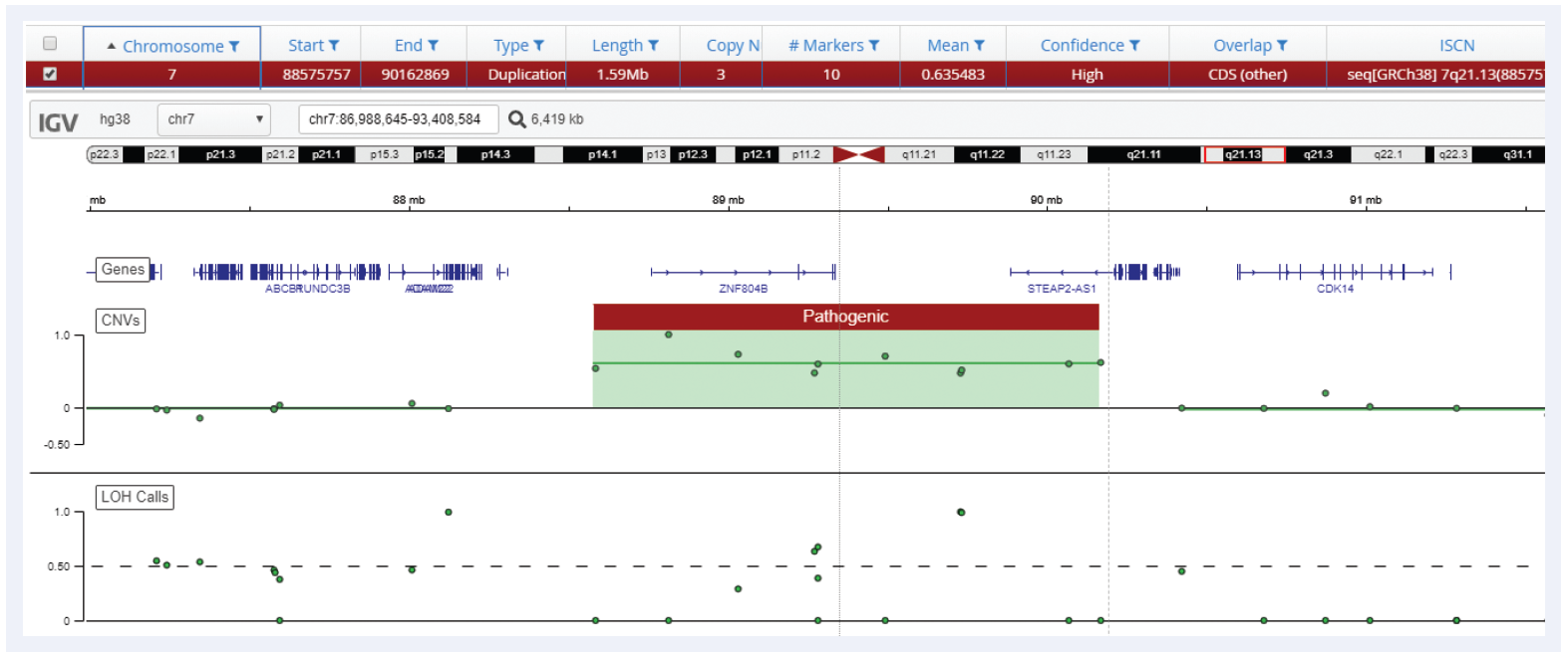 Figure 6: Interpret is able to call duplications with the same precision as microarrays, in this example a 1.59 Mb duplication on chromosome 7 is detected using the CytoSure Constitutional NGS Panel.