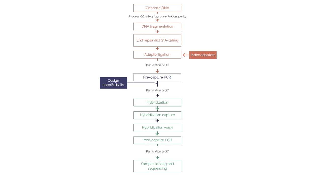 <b>Figure 1.</b> The OGT Universal NGS Workflow Solution
