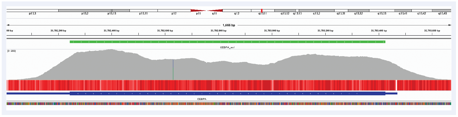 Figure 1: Illustration of the excellent coverage uniformity of the CEBPA gene. Depth of coverage per base (grey). Targeted region (green). Gene coding region as defined by RefSeq (blue). GC percentage (red).