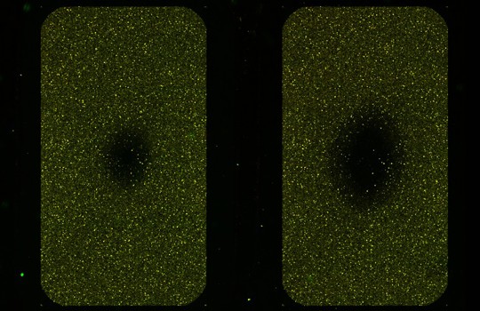 How do I resolve black holes on the array during aCGH? Image