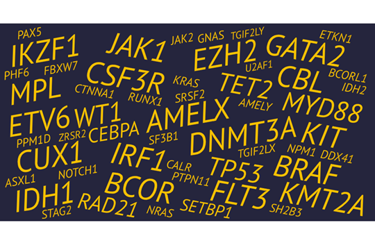 SureSeq Myeloid Plus Image