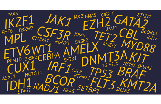 SureSeq Myeloid Plus Image