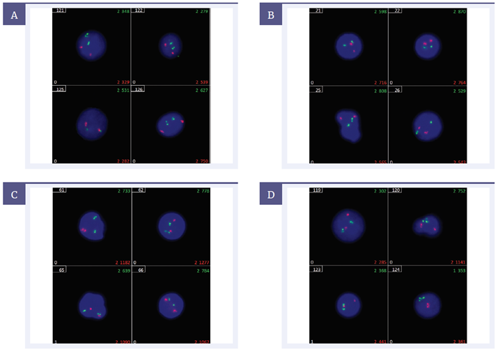 Figure 1: Comparison of hybridisation results.