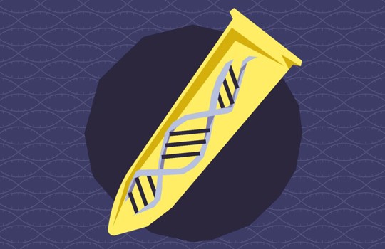 What is Design of Experiments (DOE) and how it can impact NGS workflows? Image