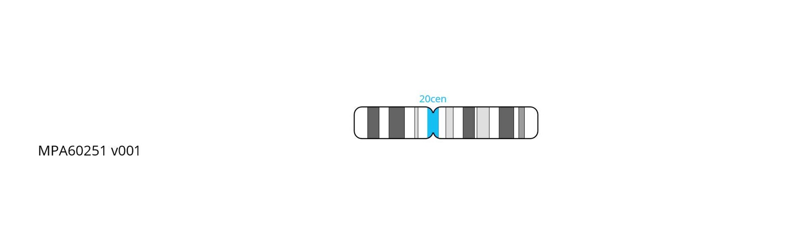 Fluorescence in situ hybridization (FISH) chromosome map showing a probe targeting the centromere region on chromosome 20.