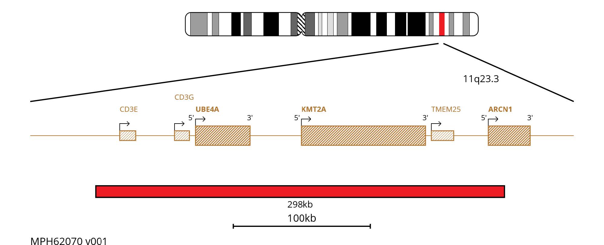Fluorescence in situ hybridisation (FISH) chromosome map showing a red 298kb probe targeting the KMT2A gene.