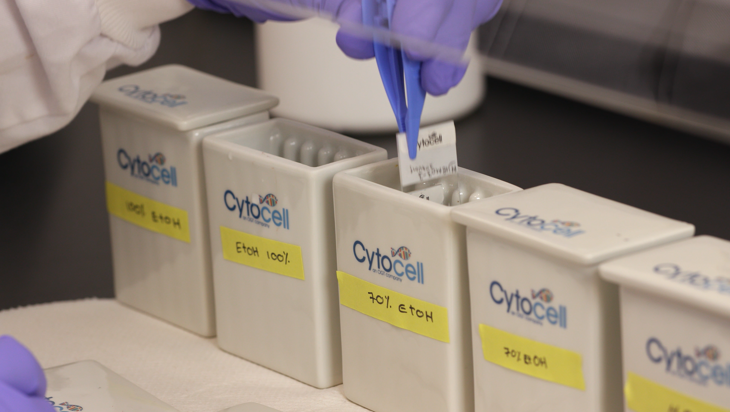 Using the FFPE Pretreatment Kit - Re-hydration (2 minutes) Image