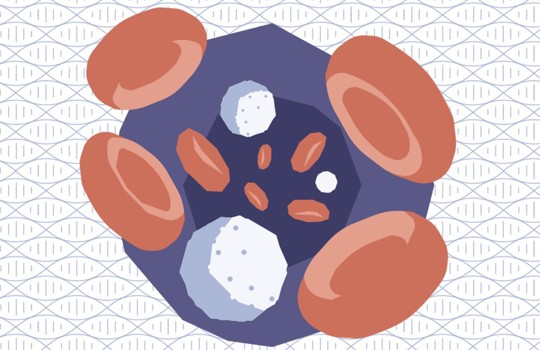 More than 1 million people across the globe diagnosed with blood cancer every year† Image