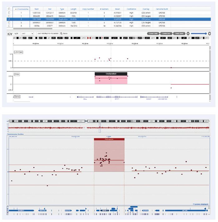 65.8kb duplication on chromosome 2