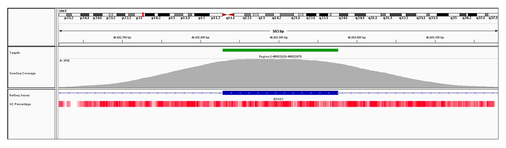 EPAS1 Exon 8 (hg19 chr2:46602829-46602976). Depth of coverage per base (grey). Targeted region (green). Gene coding region as defined by RefSeq (blue). GC percentage (red). Image
