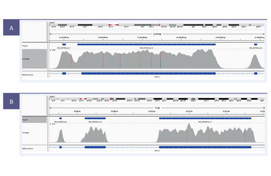Detect SNVs, indels and exon-level to whole gene CNVs in breast and ovarian cancer Image