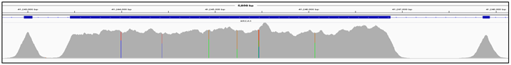 Figure 3: Example coverage of BRCA1 exon 10.