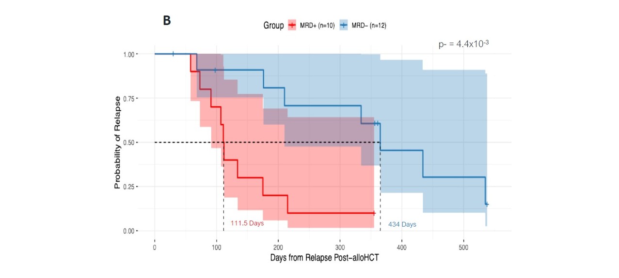 <b>Figure 1b.</b> Kaplan–Meier analysis of relapse probability following alloHCT stratified by MRD status using a VAF threshold of >1.0% at the post-induction, pre–alloHCT time point. MRD-positive (MRD+) patients had at least one tumor-informed variant detected with VAF >1.0% (n = 10), whereas MRD-negative (MRD−) patients had no variants detected above this threshold (n = 12) (log-rank p = 0.0044).