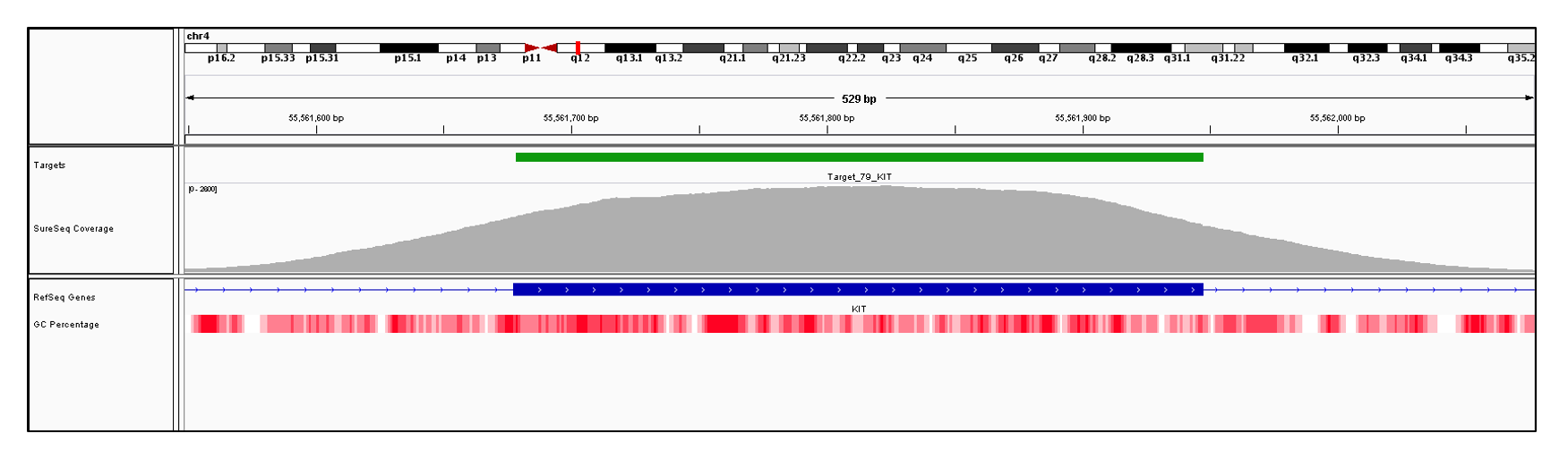 KIT Exon 2 (hg19 chr4:55561678-55561947). Depth of coverage per base (grey). Targeted region (green). Gene coding region as defined by RefSeq (blue). GC percentage (red). Image