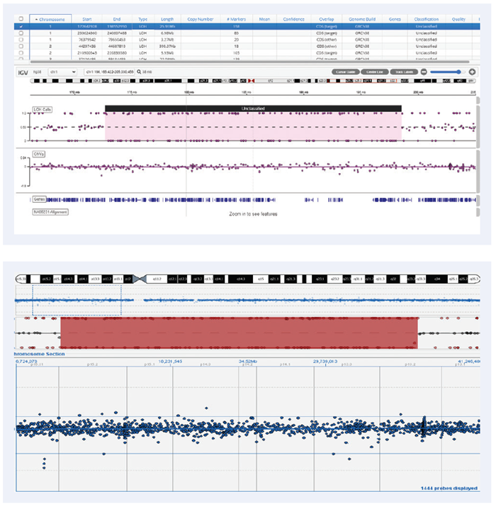 25.91MB LOH on chromosome 1