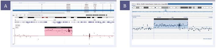 Figure 4: 1.4Mb duplication on chromosome 17