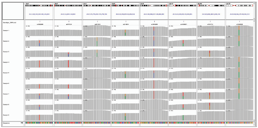 Figure 6: Integrated Genomics Viewer image comparing the profiles from 9 samples over 8 of the 44 SNPs in the SureSample panel, illustrating how the SNP profiles differ from sample to sample.