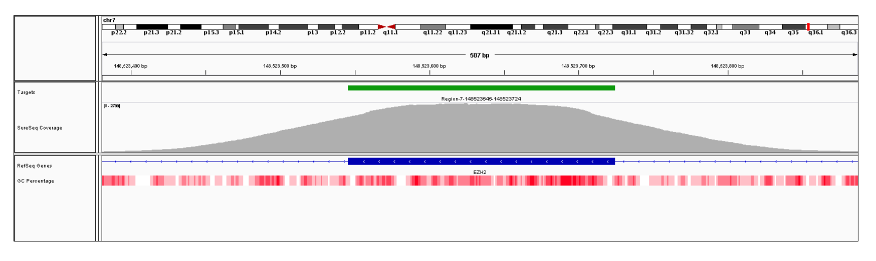 EZH2 Exon 8 (hg19 chr7:148523561-148523724). Depth of coverage per base (grey). Targeted region (green). Gene coding region as defined by RefSeq (blue). GC percentage (red). Image