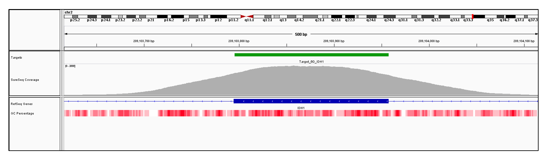 IDH1 Exon 9 (hg19 chr2:209103795-209103957). Depth of coverage per base (grey). Targeted region (green). Gene coding region as defined by RefSeq (blue). GC percentage (red). Image