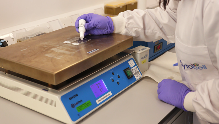 CytoCell solid tumour FFPE FISH protocol - Enzyme digestion (3 minutes) Image