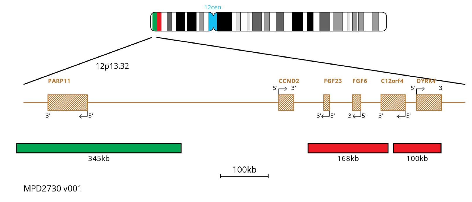 MPD2730 CCND2 Breakapart 12Cen In Aqua FISH Probe Chromosome Map