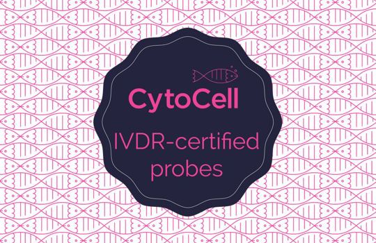 Did you hear? IVDR-certified FISH probes are available to order! Image