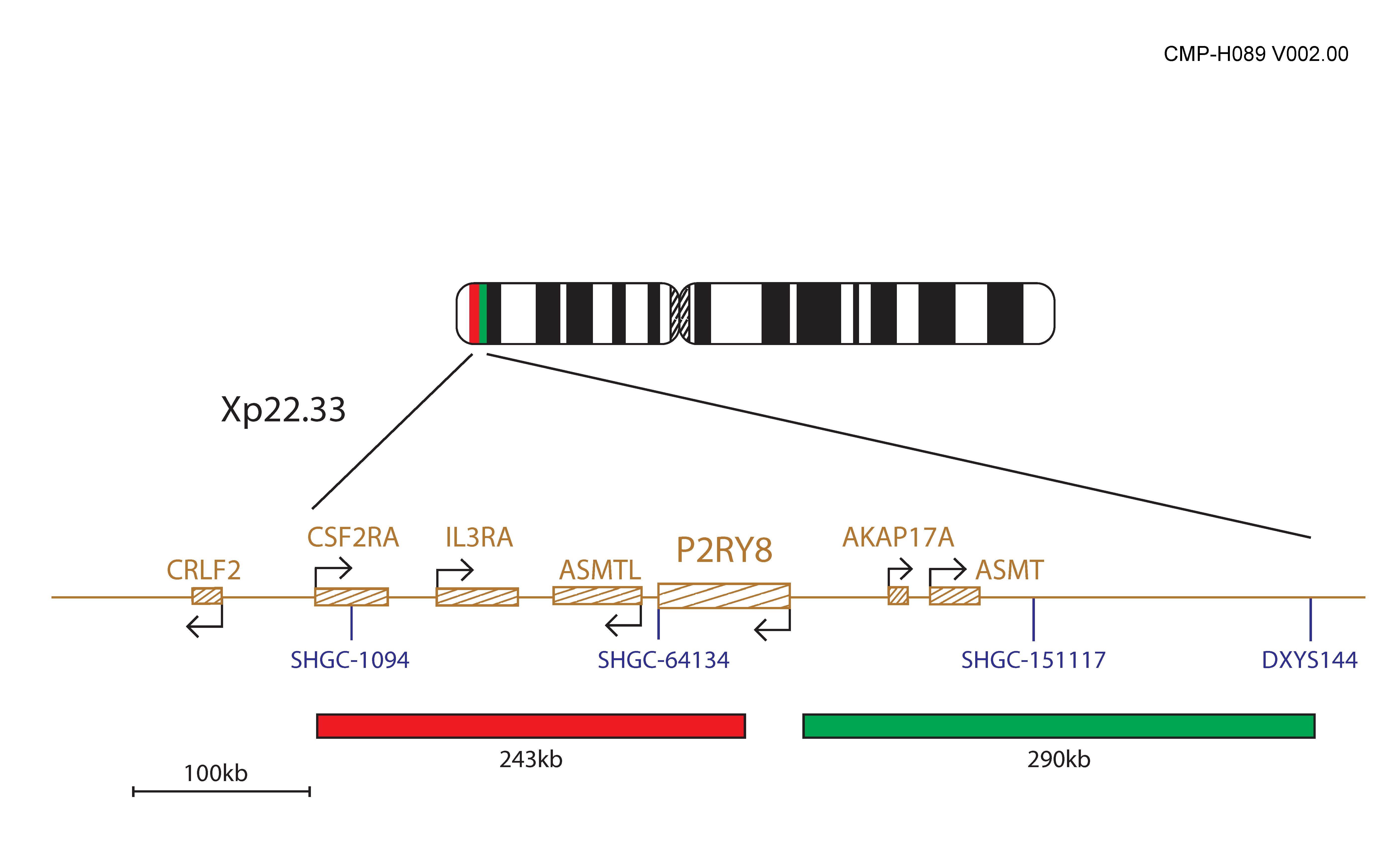 Fluorescence in situ hybridisation (FISH) chromosome map showing probes targeting the P2RY8 gene.