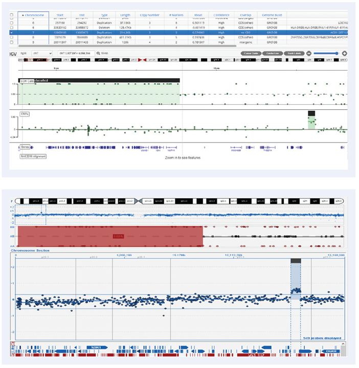 10.39Mb LOH and a 213.75Kb duplication on chromosome 7