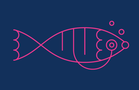 FISH health check Image