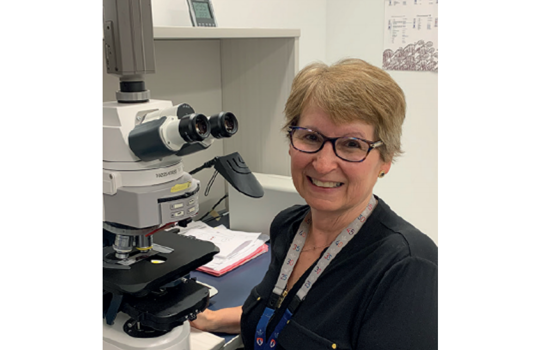 Under the Microscope interview Image