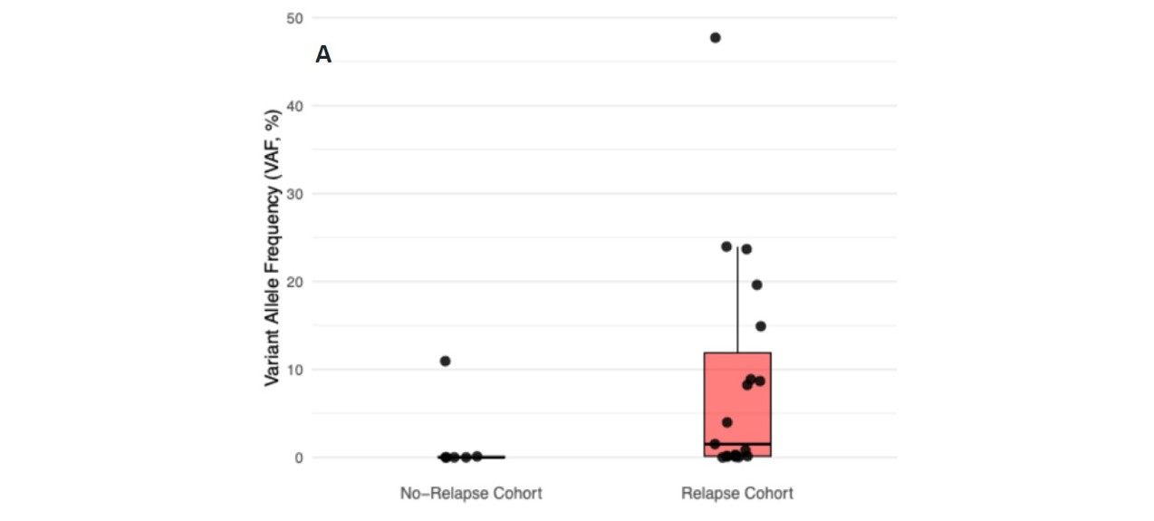 <b>Figure 1a.</b> Boxplot showing variant allele frequencies (VAFs, %) detected in bone marrow specimens from the no-relapse and relapse cohorts at the post-induction, pre–alloHCT time point (Mann–Whitney test, p = 0.013).