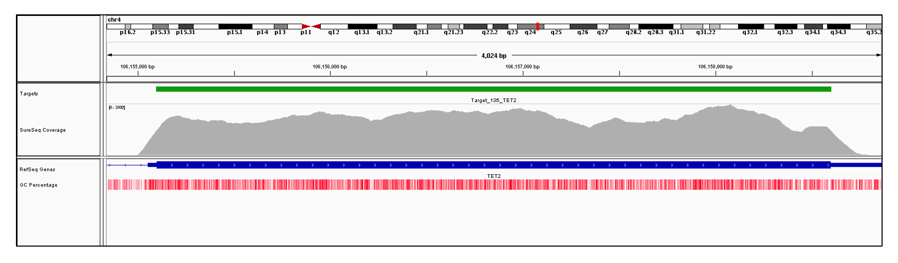 TET2 Exon 3 (hg19 chr4:106155054-106158508). Depth of coverage per base (grey). Targeted region (green). Gene coding region as defined by RefSeq (blue). GC percentage (red). Image