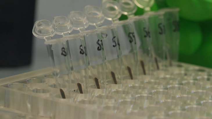 NGS library preparation for solid tumor samples - AMPure beads (7 minutes) Image