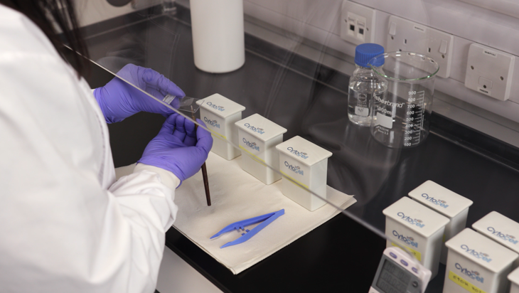 Using the FFPE Pretreatment Kit (10 minutes) Image